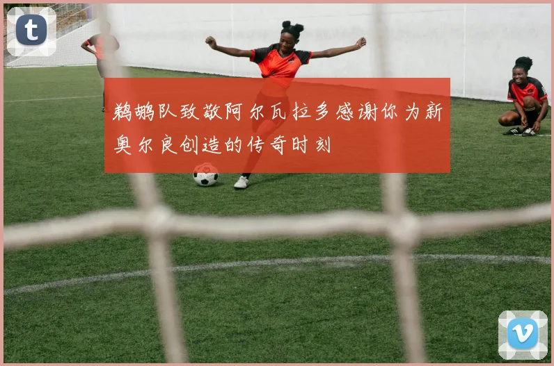 鹈鹕队致敬阿尔瓦拉多感谢你为新奥尔良创造的传奇时刻